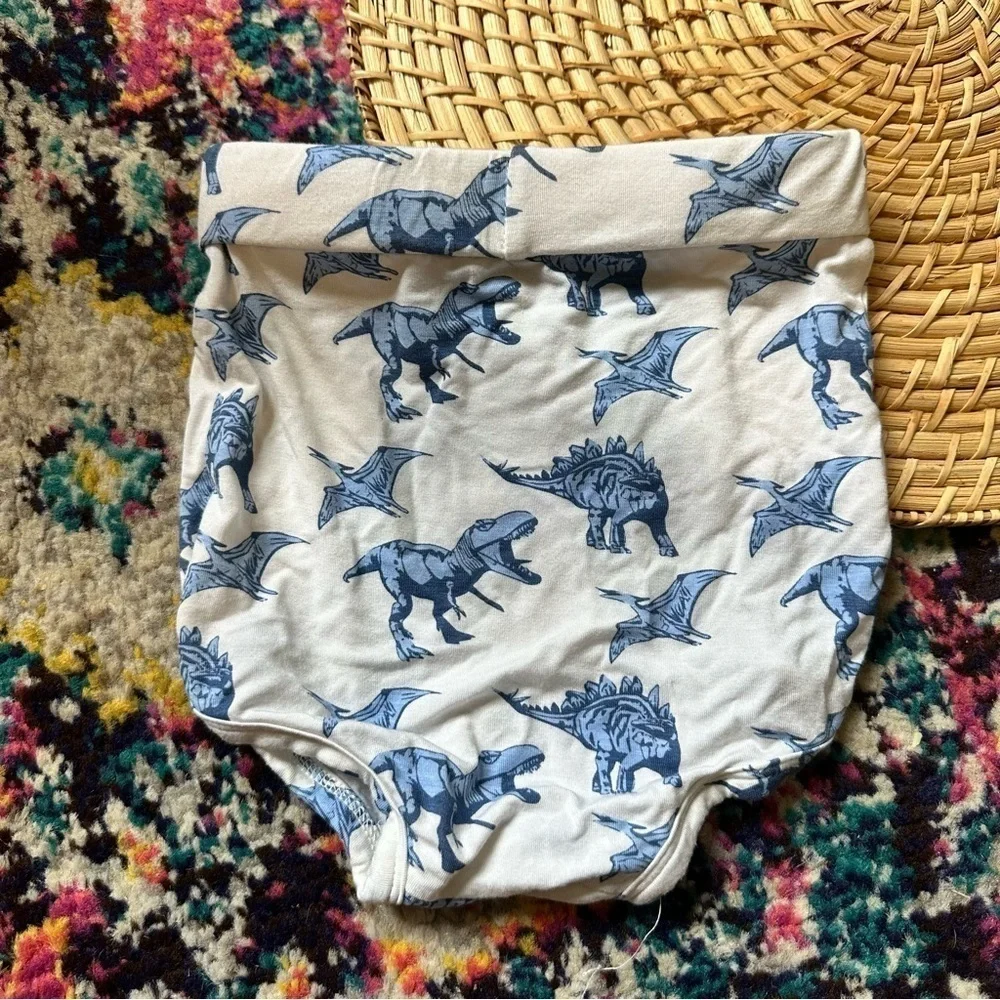 Kate Quinn Bamboo Dinosaur Print Bloomers